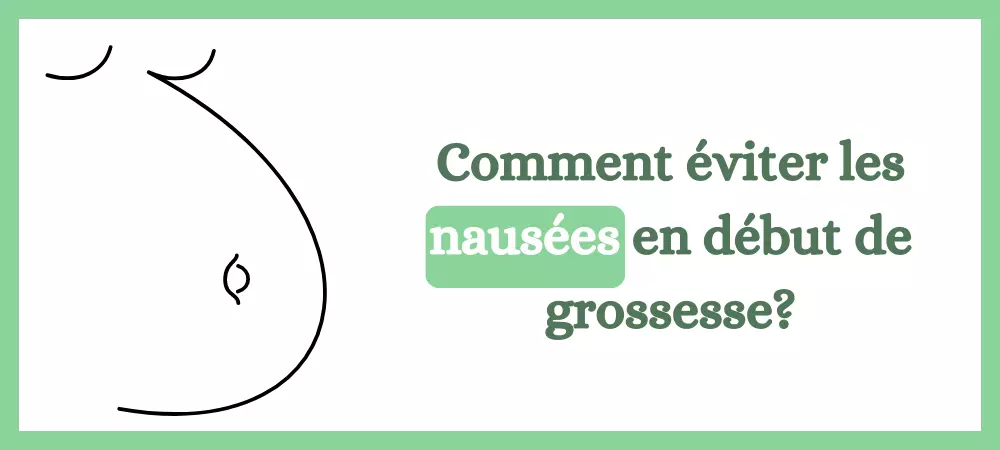 Lire la suite à propos de l’article Comment éviter les nausées en début de grossesse?