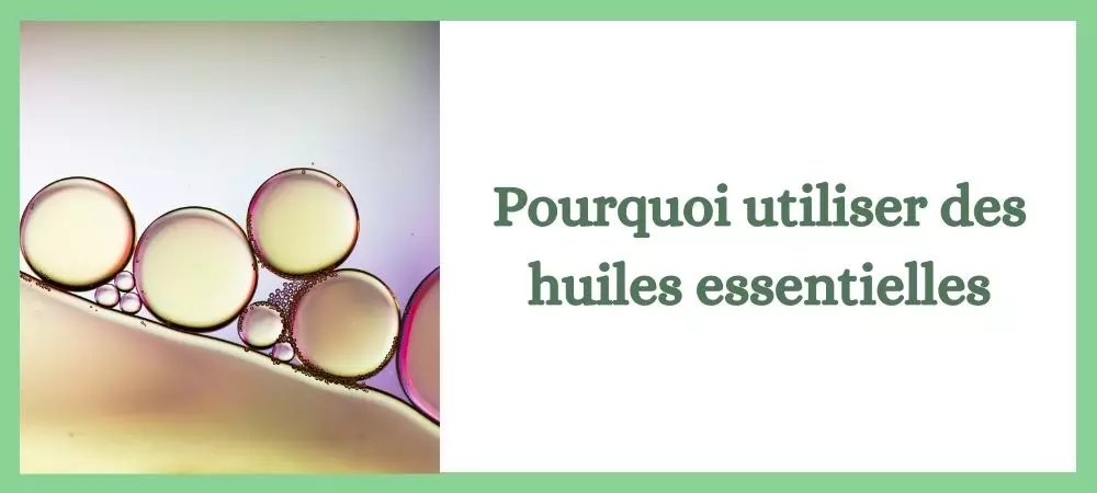 Lire la suite à propos de l’article Pourquoi utiliser les huiles essentielles?