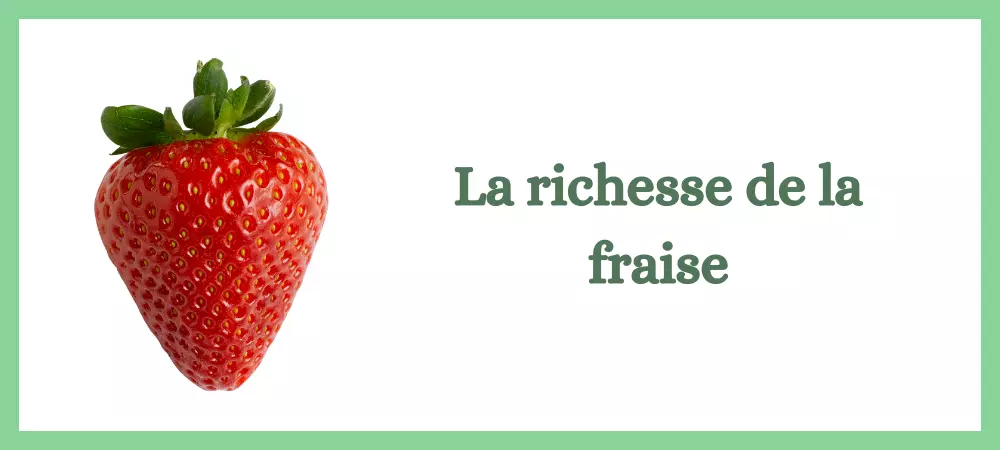 richesse de la fraise