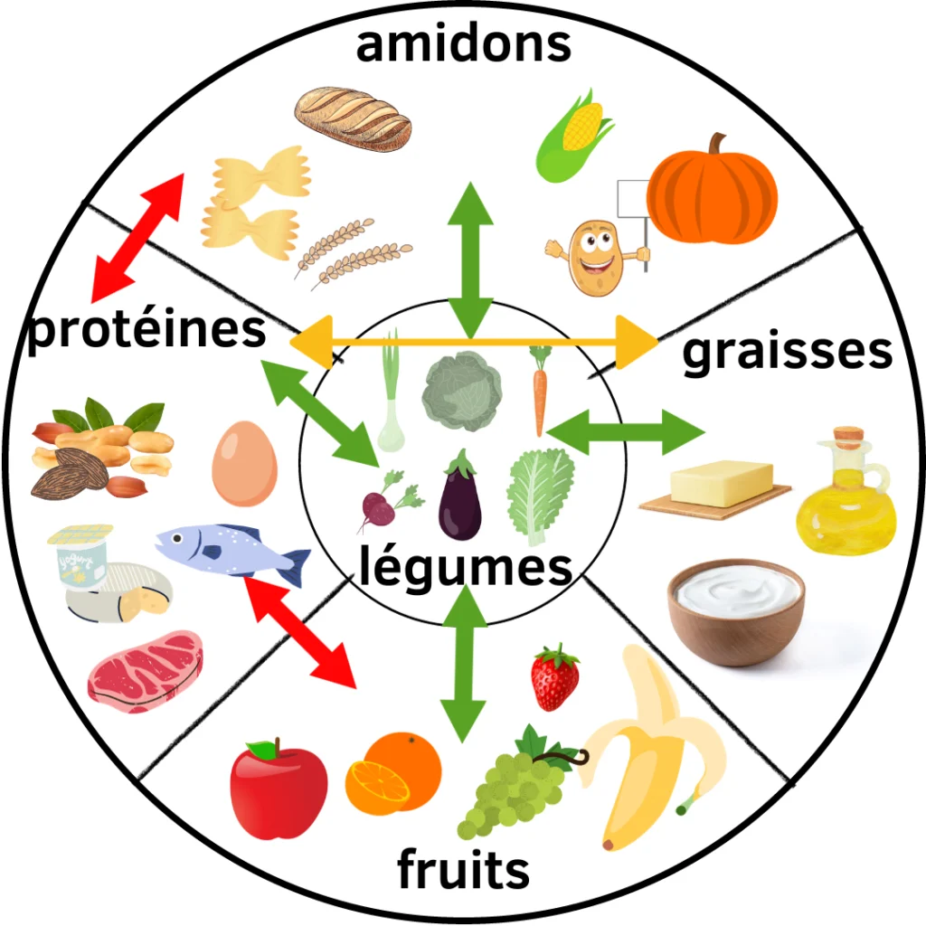 acides gras, lentilles, transit, oléagineux, constipation, protéines animales, tube digestif, aliments riches