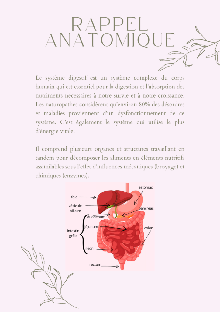 ebooks huiles essentielles