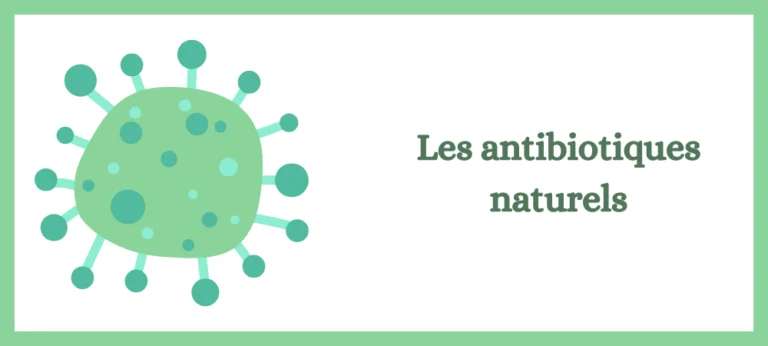 Lire la suite à propos de l’article Les antibiotiques naturels