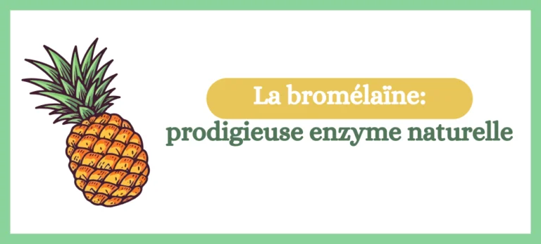 Lire la suite à propos de l’article La bromélaïne: une prodigieuse enzyme naturelle