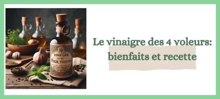 Lire la suite à propos de l’article Vinaigre des 4 voleurs: bienfaits et recette