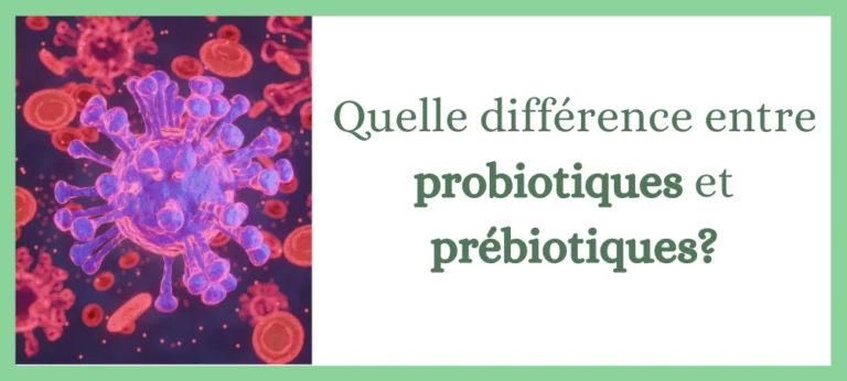 Lire la suite à propos de l’article Quelle différence entre probiotiques et prébiotiques?