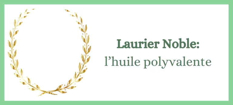 Lire la suite à propos de l’article Laurier Noble: l’huile essentielle polyvalente
