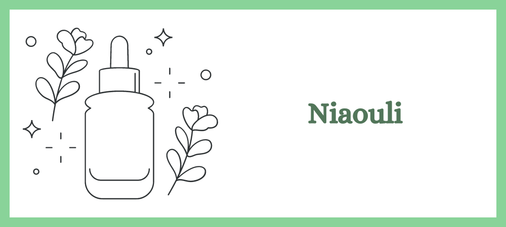 Lire la suite à propos de l’article Niaouli: A quoi sert cette huile?